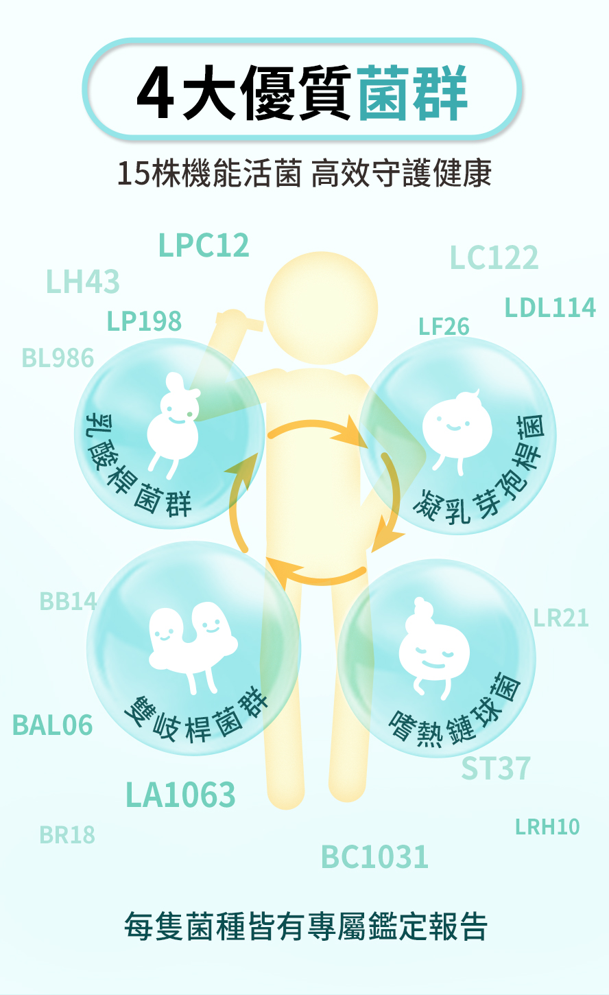 BHK’s機能益生菌15合1複合菌株，高效守護健康。