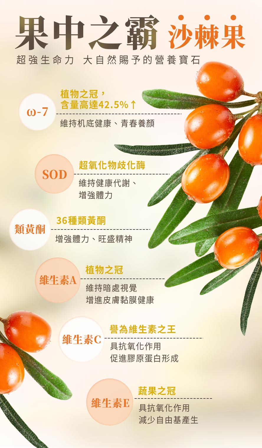 BHK's沙棘果油增強體力,旺盛精神
