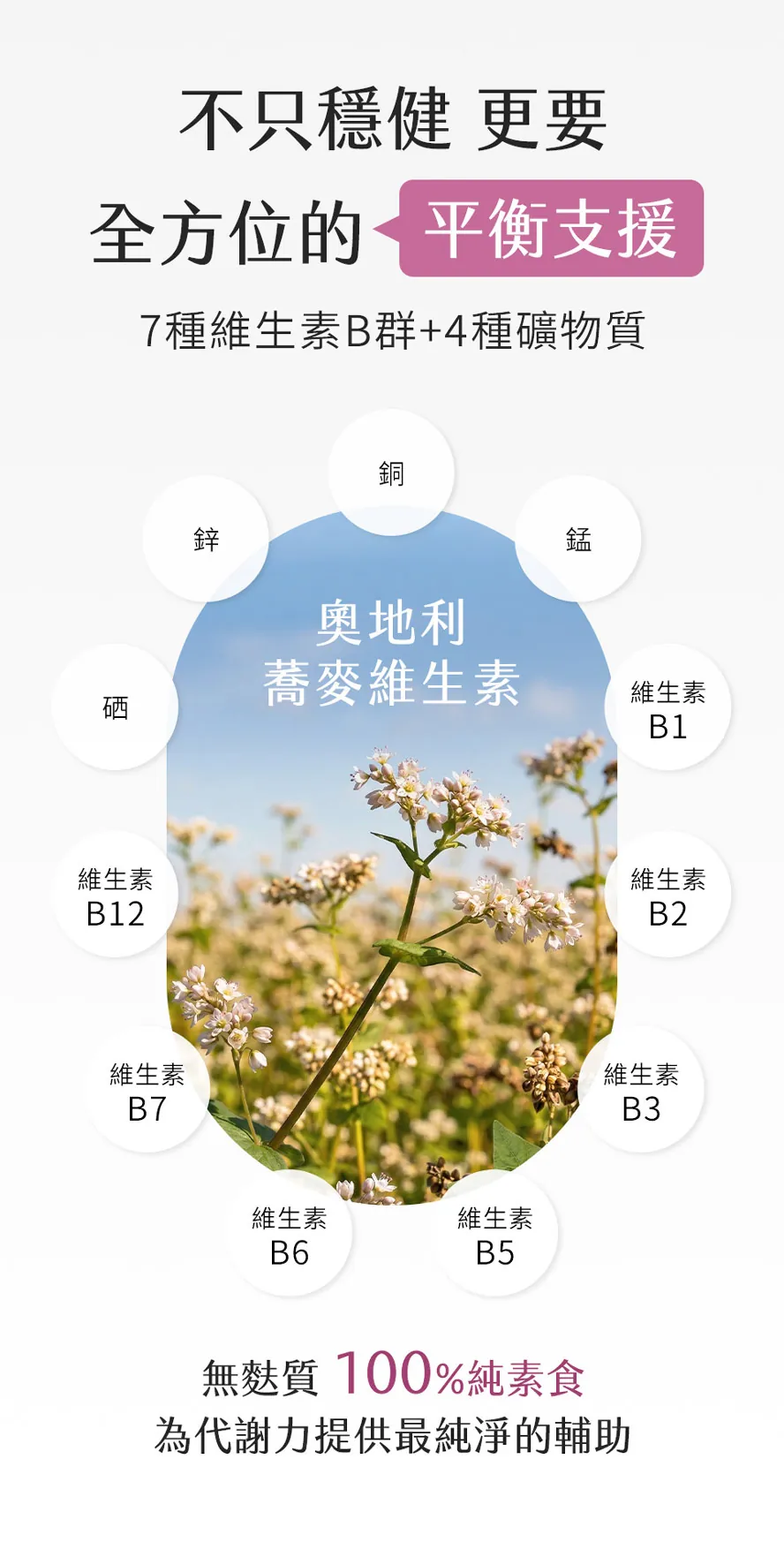 BHKs鉻複方成分有什麼？素食可以吃嗎？