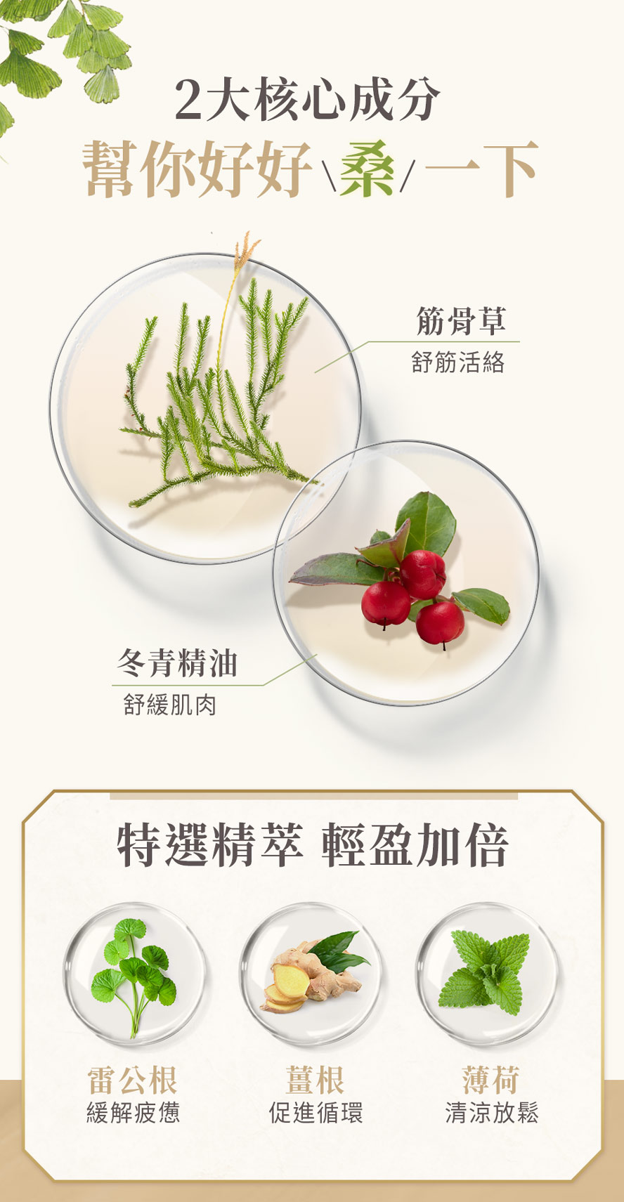 BHK筋骨草舒緩霜成分有哪些。
