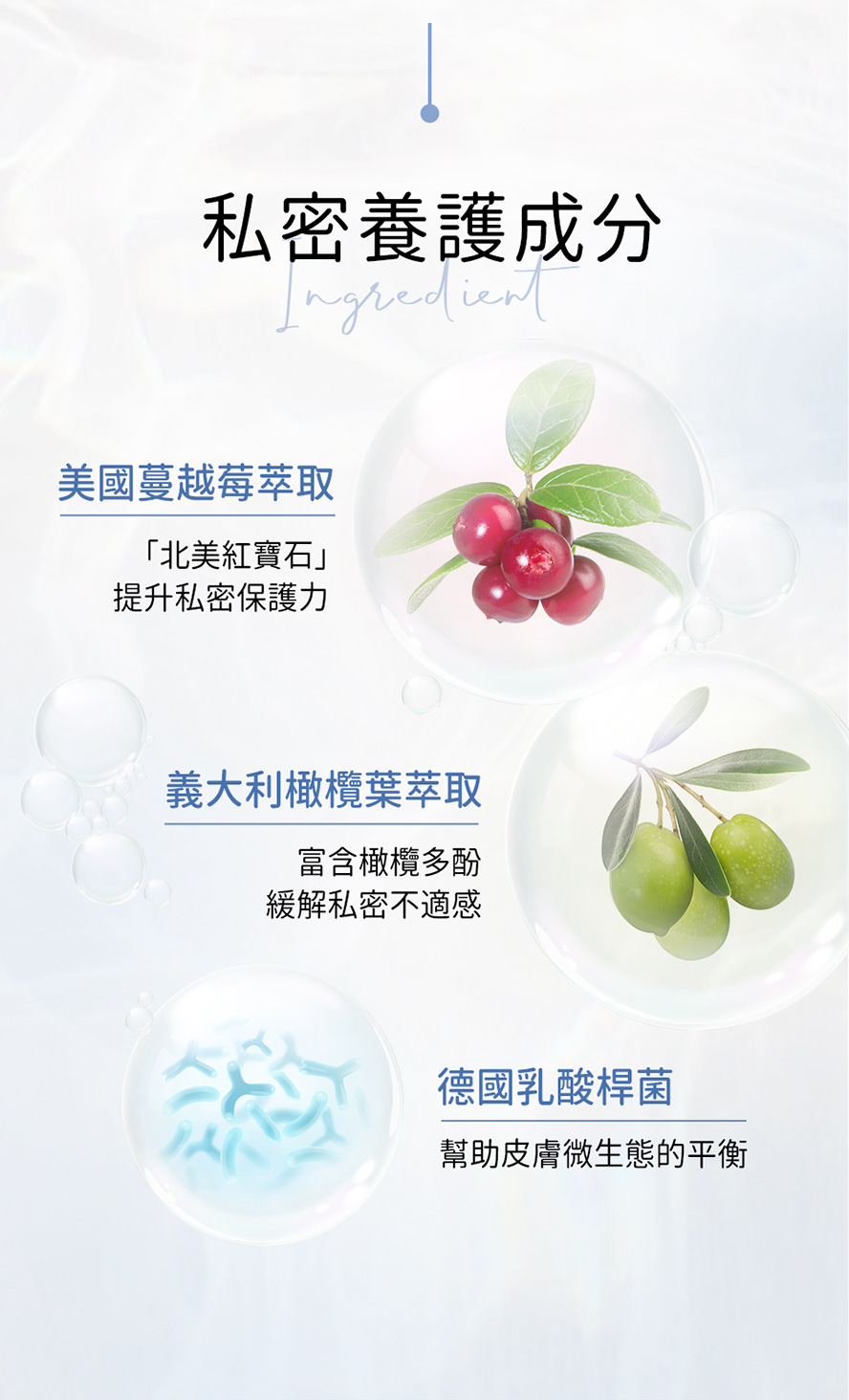 女性專屬私密清潔，添加橄欖葉、蔓越莓萃取，改善不適。