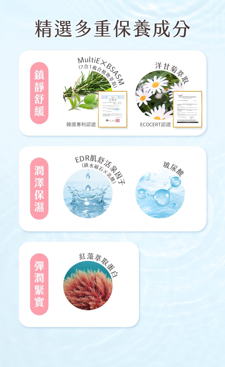 BHKs紅萃私密慕斯成分配方介紹