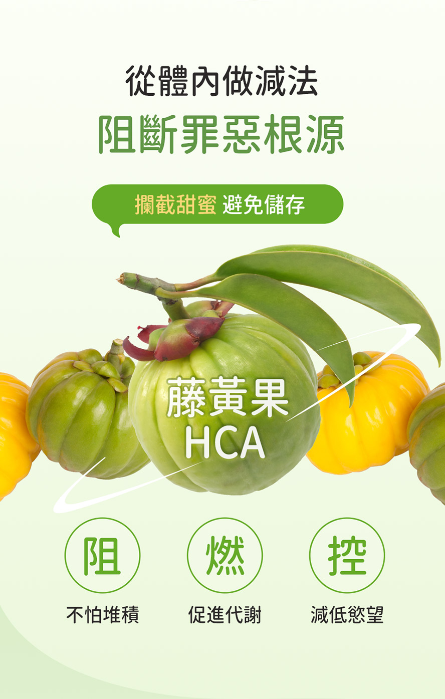 BHK藤黃果含羥基檸檬酸(HCA)。