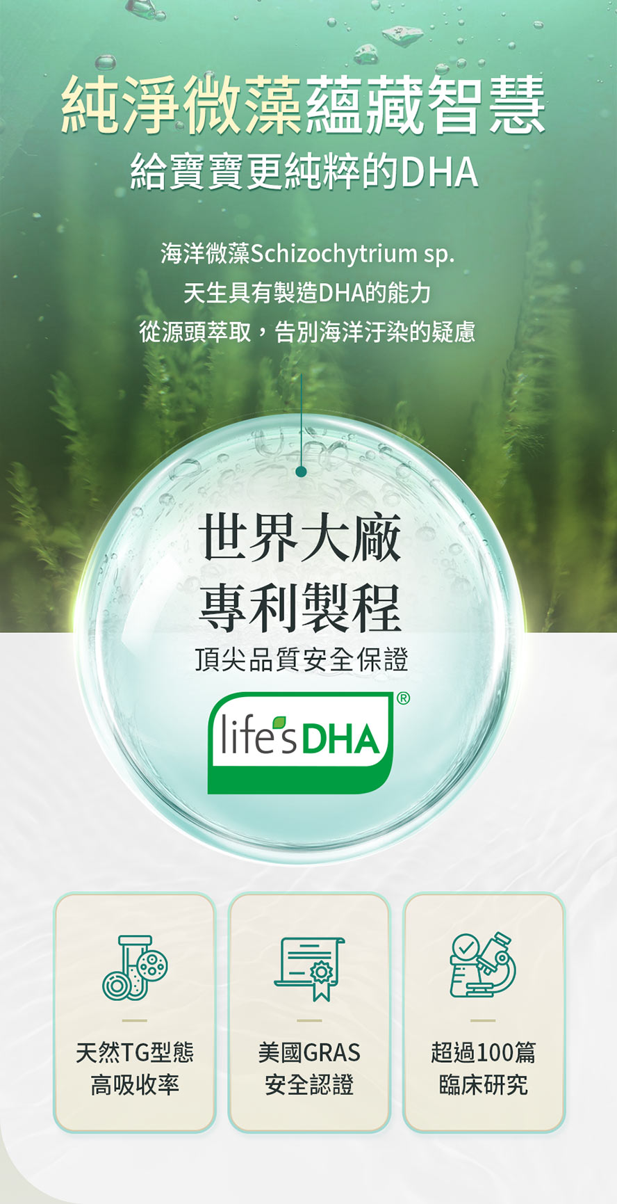 專屬孕婦的聰明營養DHA。