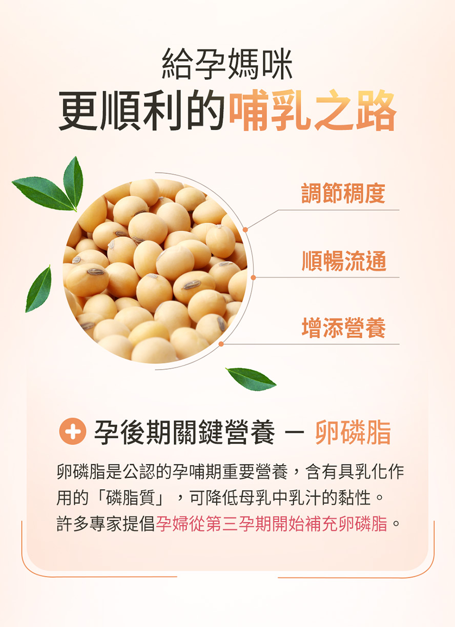 卵磷脂是孕婦孕後期到哺乳期重要營養。