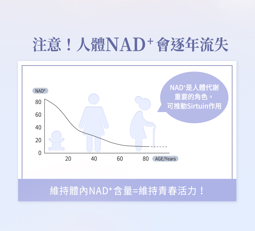 為什麼要吃NMN？NAD+有什麼好處？