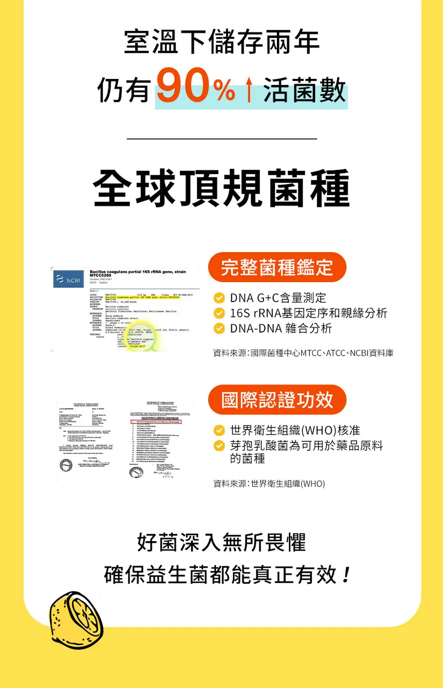 芽孢乳酸菌是什麼?國際認可耐胃酸膽鹼