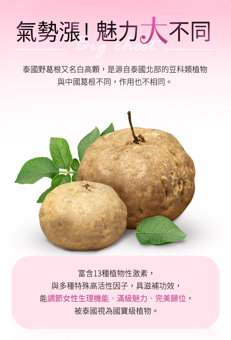 BHK白高顆選用泰國野葛根