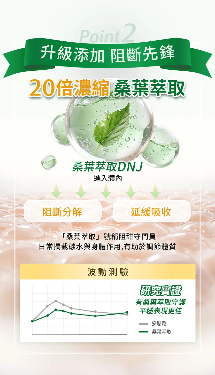 桑葉萃取功效?作用是什麼?