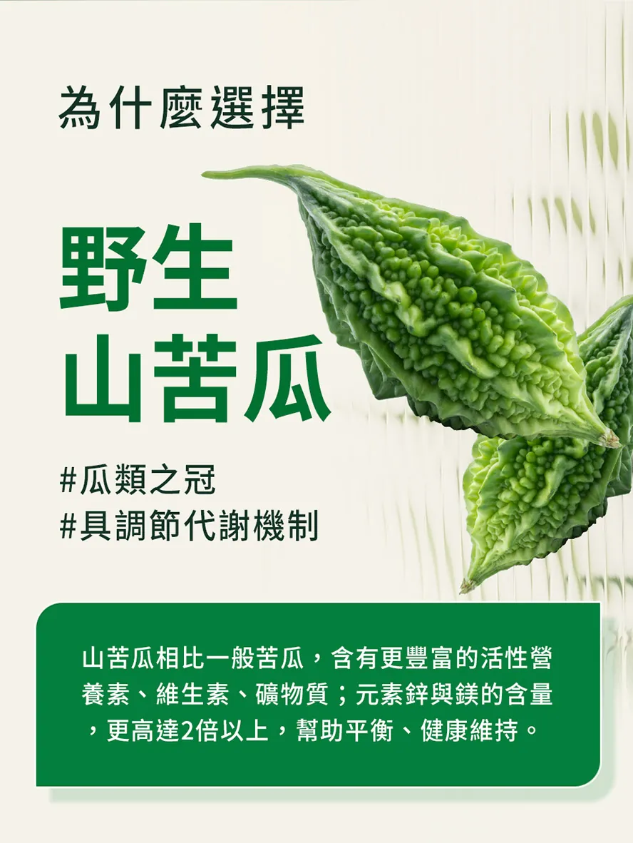 美國專利苦瓜好在哪?山苦瓜哪裡好?