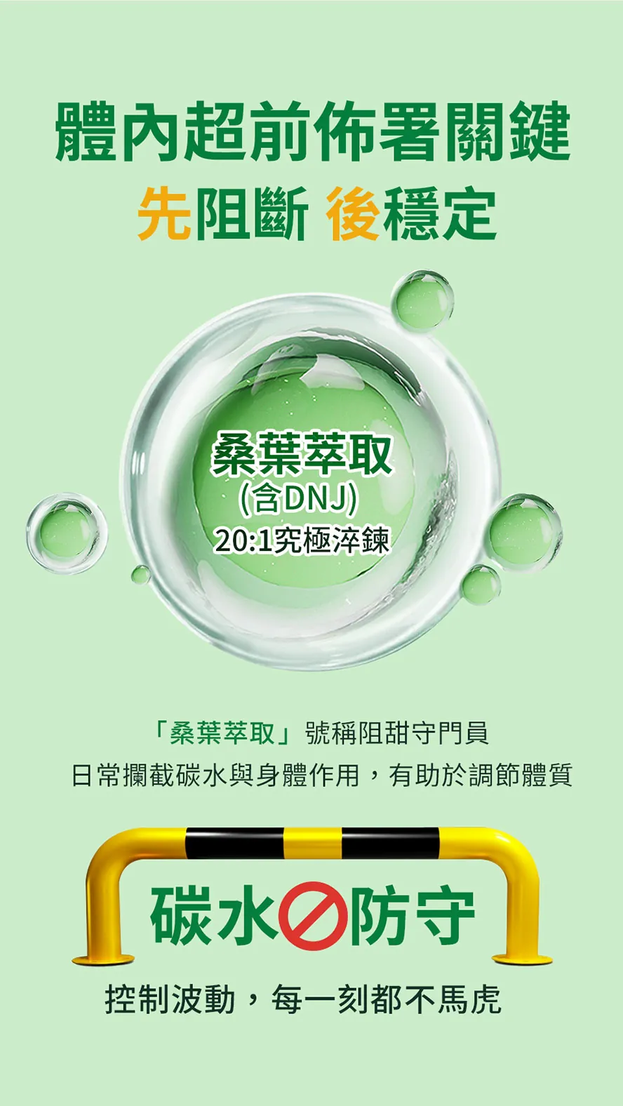 桑葉萃取功效?作用是什麼?