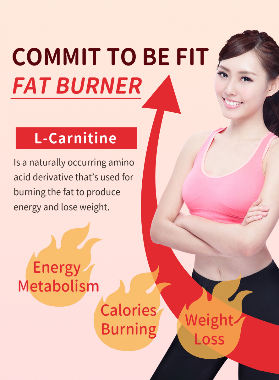 BHK's L-carnitine is an amino acid, it can transport fatty acids and boost cellular energy