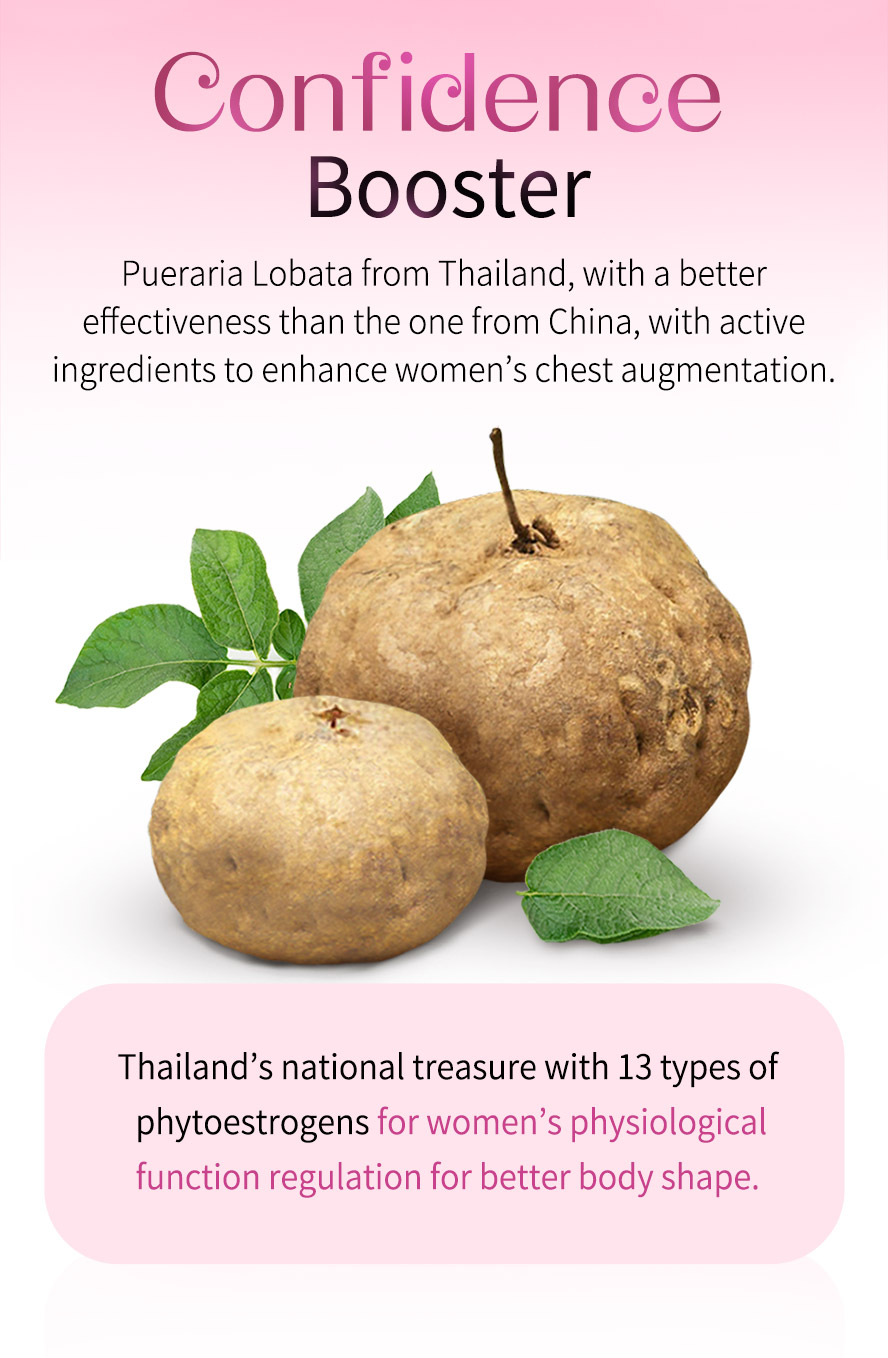 Thailand's Pueraria is different from Chinese Pueraria, with 13 kinds of phytoestrogens, works for breast augmentation even puberty has passed