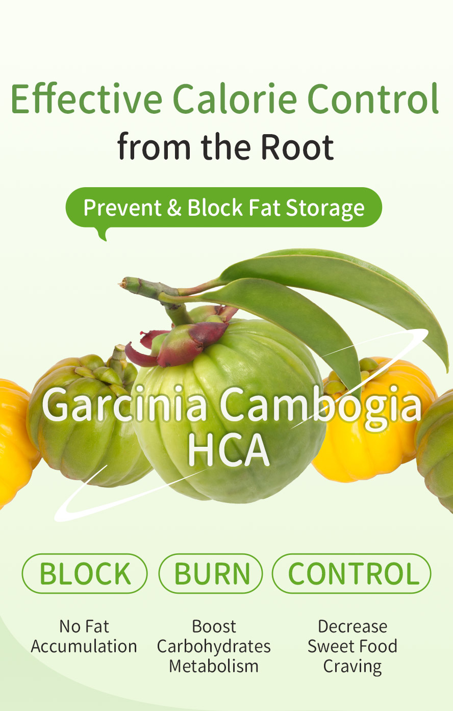 BHK's GarciniaCambogia reduces appetite, metabolism boosting, lesser desire with Hydroxycitric Acid