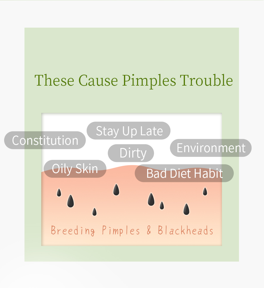 BHK's Lemon Verbena Extract EX can address the blind pimples, oily skin and large pores.