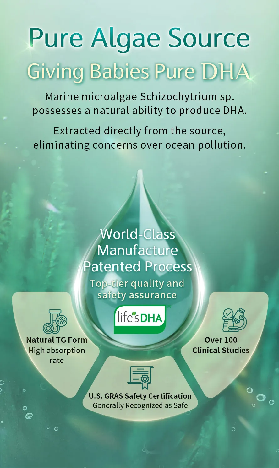 BHK MaMa DHA Algae oil is honored with International Award's Gold Medal