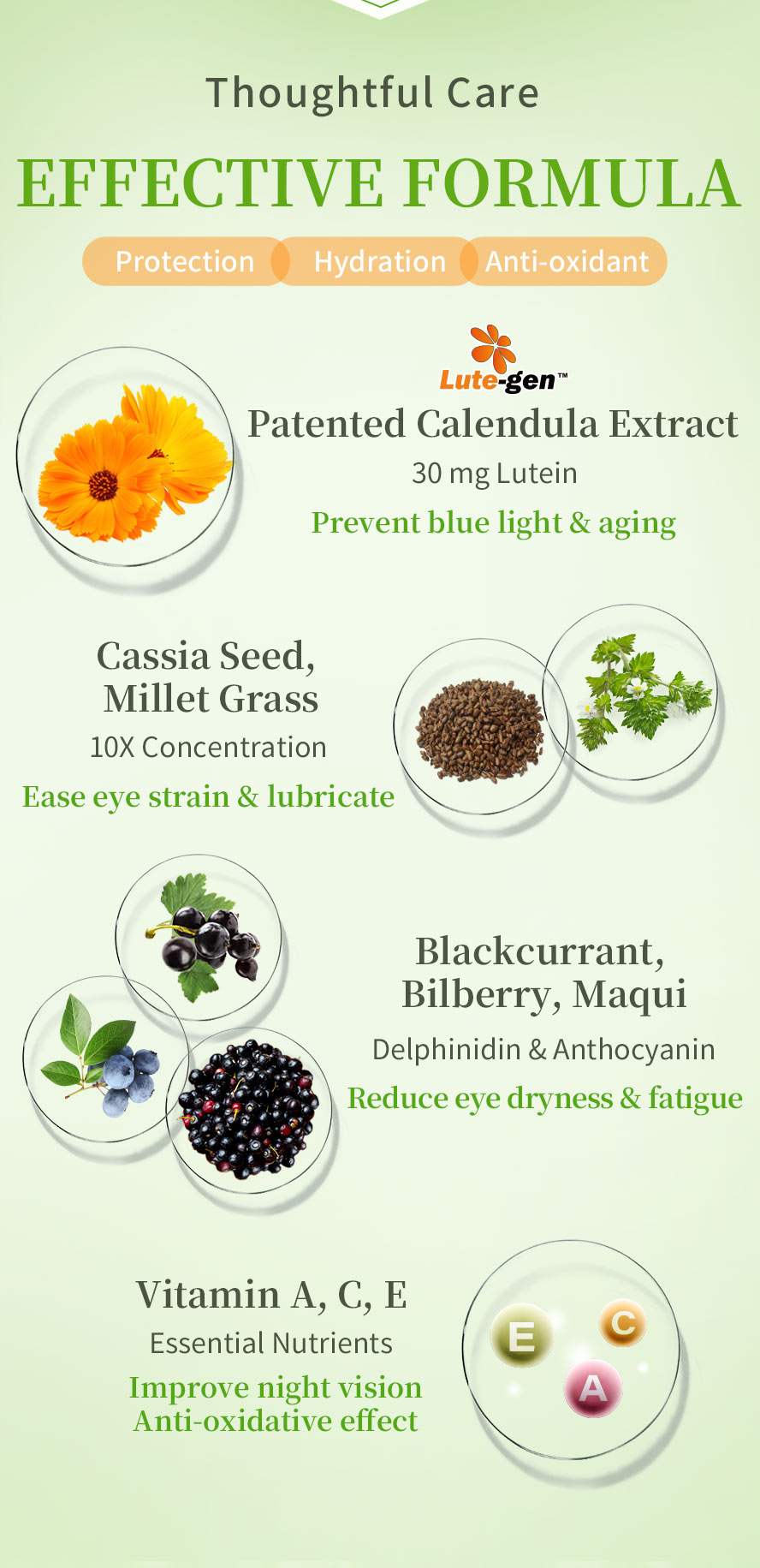 BHK's Patented Lutein EX is formulated with patented ingredrients to ease eyestrain, prevent eyes aging, improve eye dryness, and night vision.