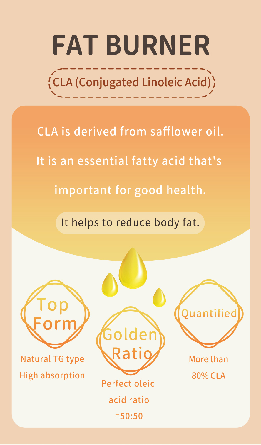 BHK's Conjugated Linoleic Acid use TG type of CLA,suppressing appetite and controlling obesity