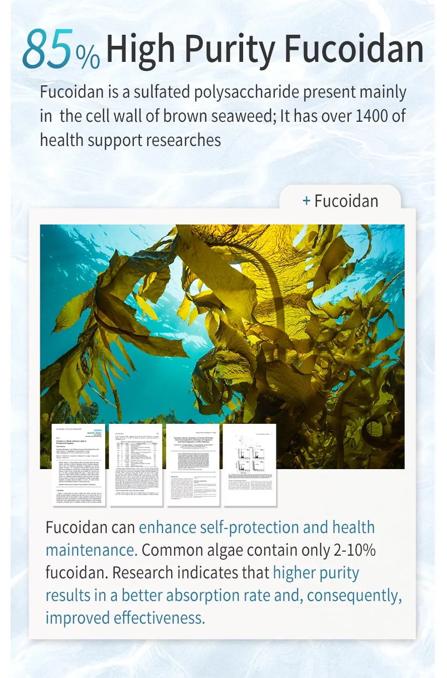 BHK's fucoidan is extracted by high purity ,fucodian contains more than 85%