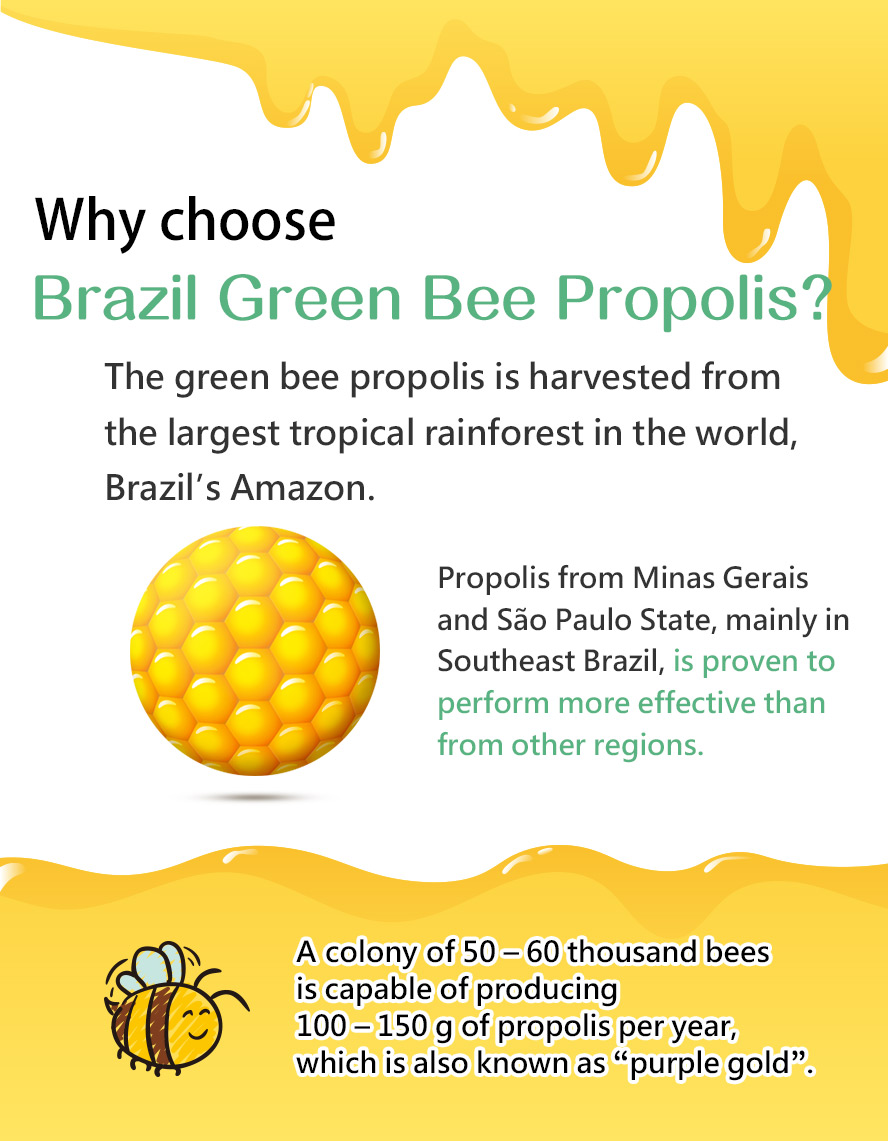 BHK's propolis lozenges uses the best source of propolis, Brazilian green bee propolis.