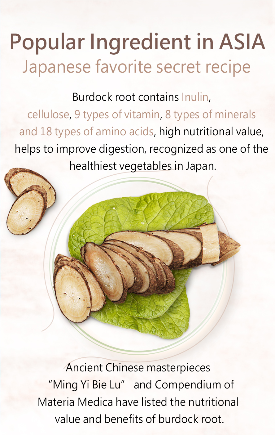 BHK's Burdock Root is sometimes called the Eastern ginseng for its benefits