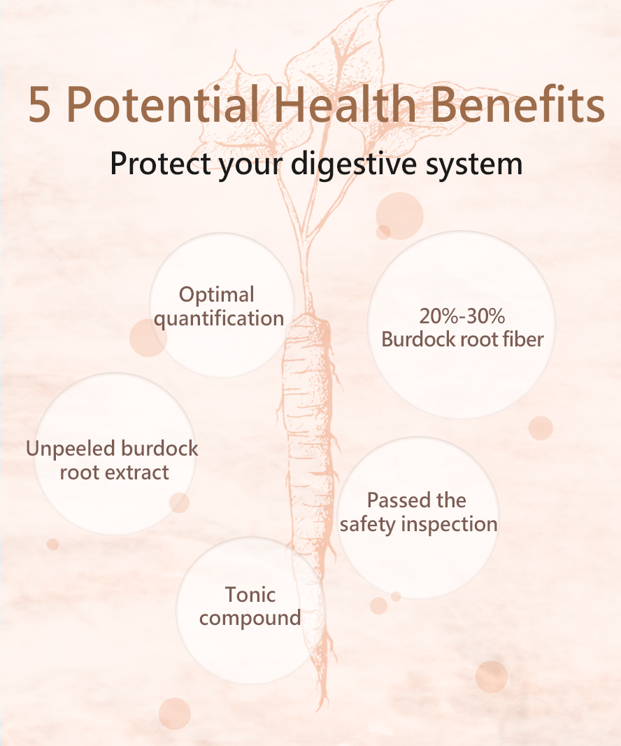 BHK's Burdock Root's ability to aid digestion as well as gastrointestinal health.