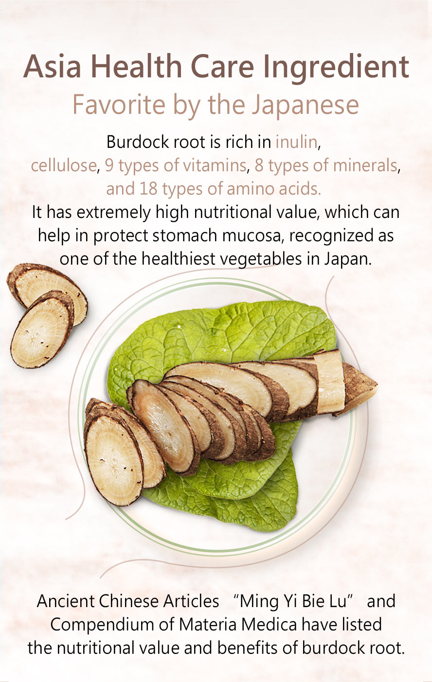 BHK's Burdock Root is sometimes called the Eastern ginseng for its benefits