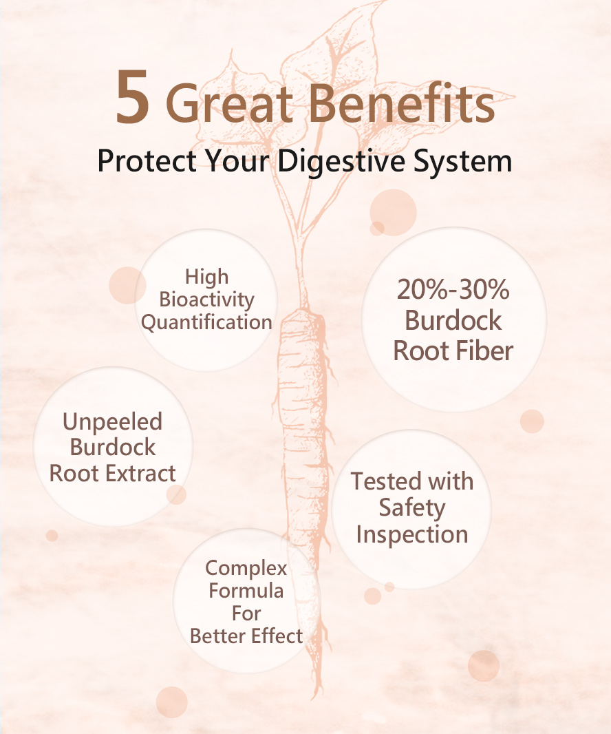 BHK's Burdock Root's ability to aid digestion as well as gastrointestinal health.