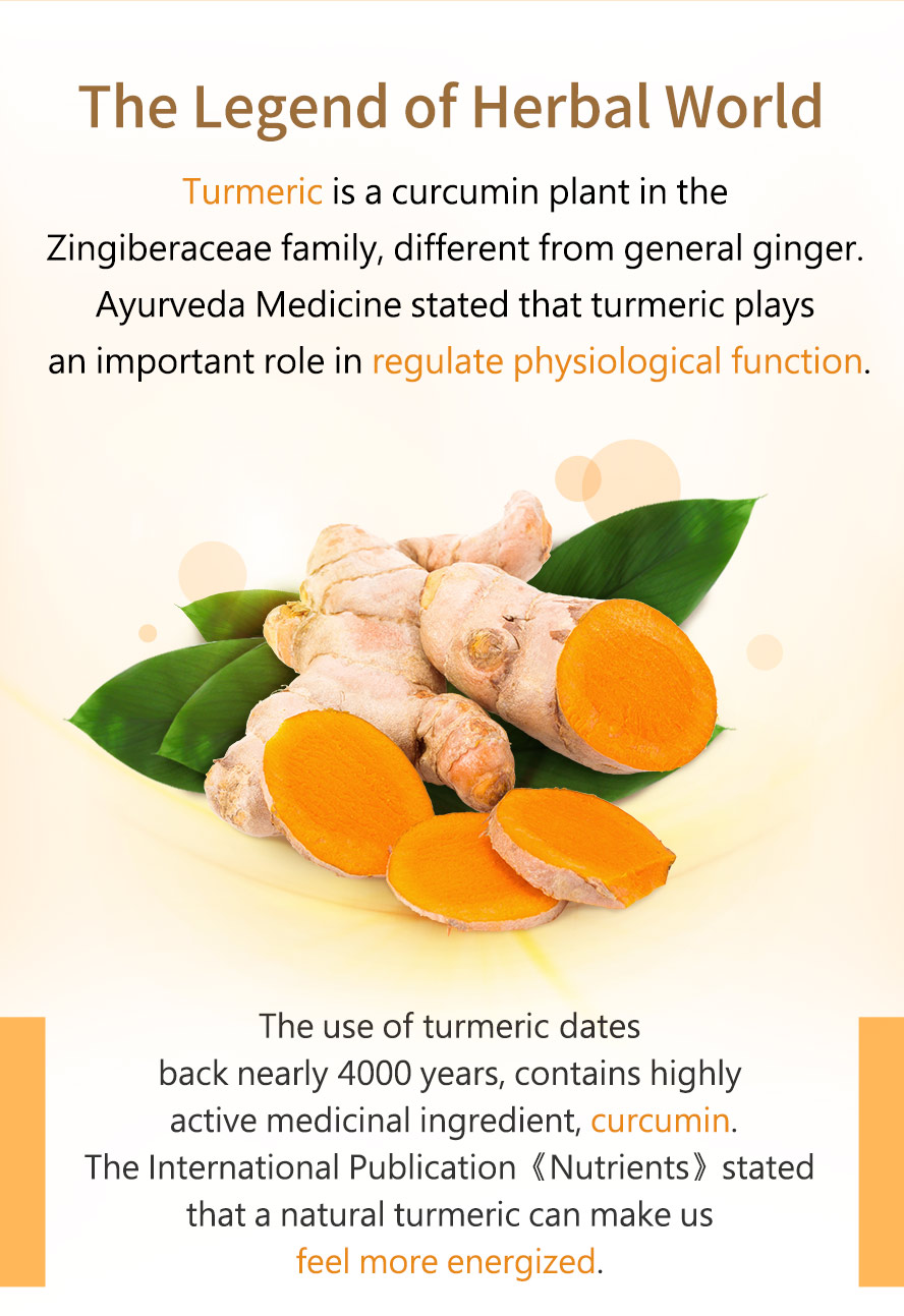 BHK's Turmeric Curcumin helps support the body’s natural detoxification, liver, and cognitive functions.