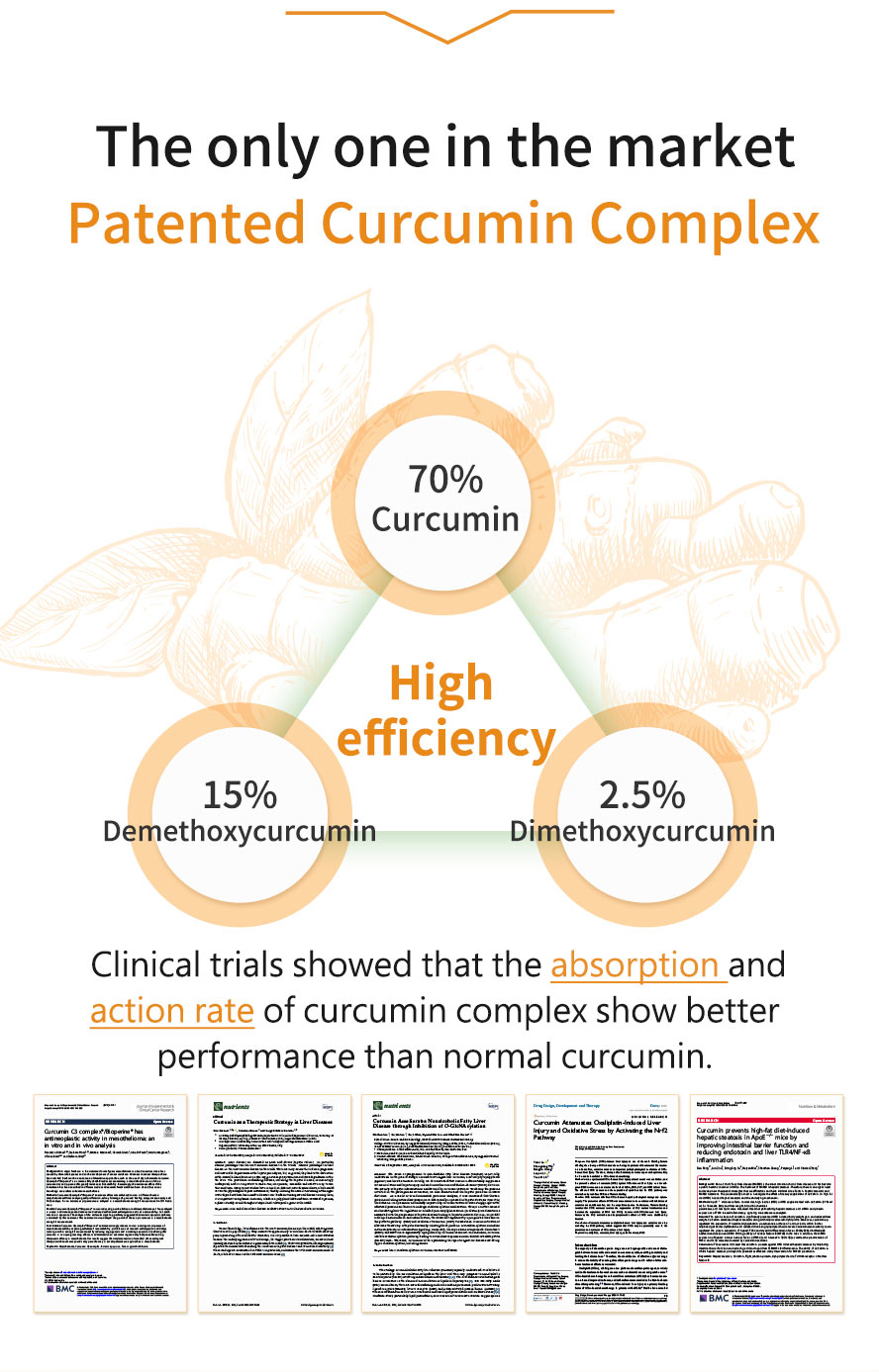 BHK's Turmeric Curcumin has the highest absorption and contains curcumin, artichoke, leafflower and black pepper.