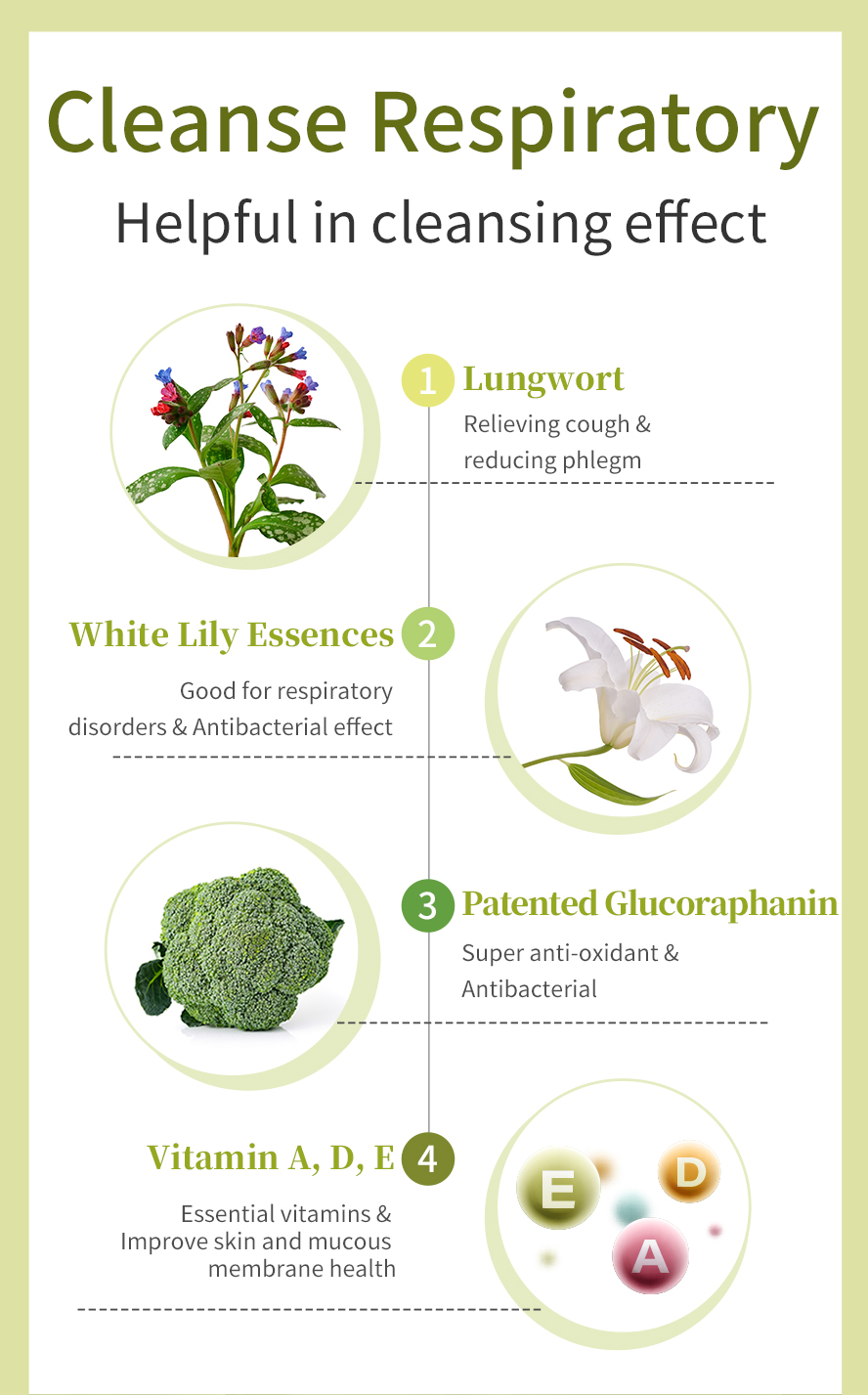 BHK Lungwort uses lungwort, glucoraphanin, lili bulbus and vitamin A, vitamin D and vitamin E. Promotes healthy lung function