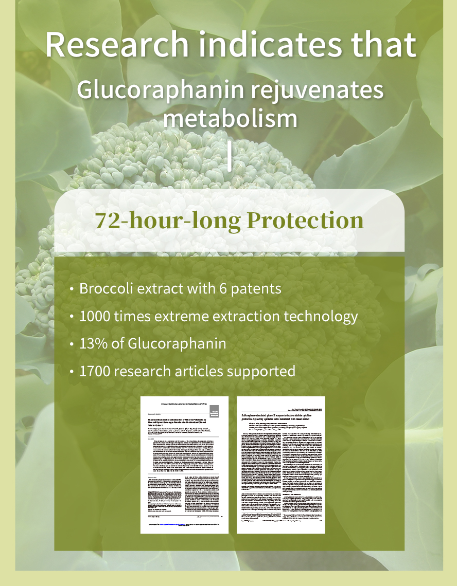 BHK's Lungwort contains 13% glucoraphanin and remains active in our body for up to 72 hours.