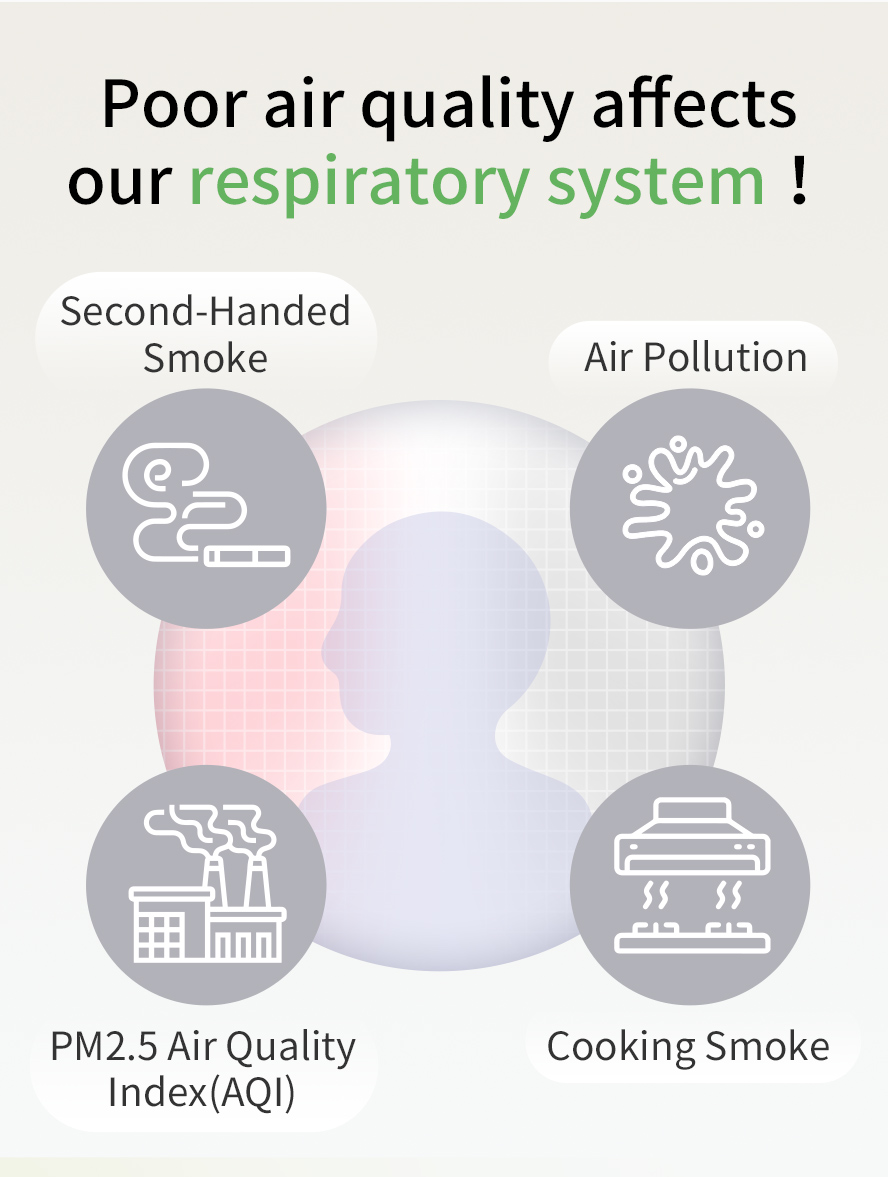 Air pollutions, cigarette smoke and cooking smoke can damage lungs easily causing coughing and breathing difficulties.