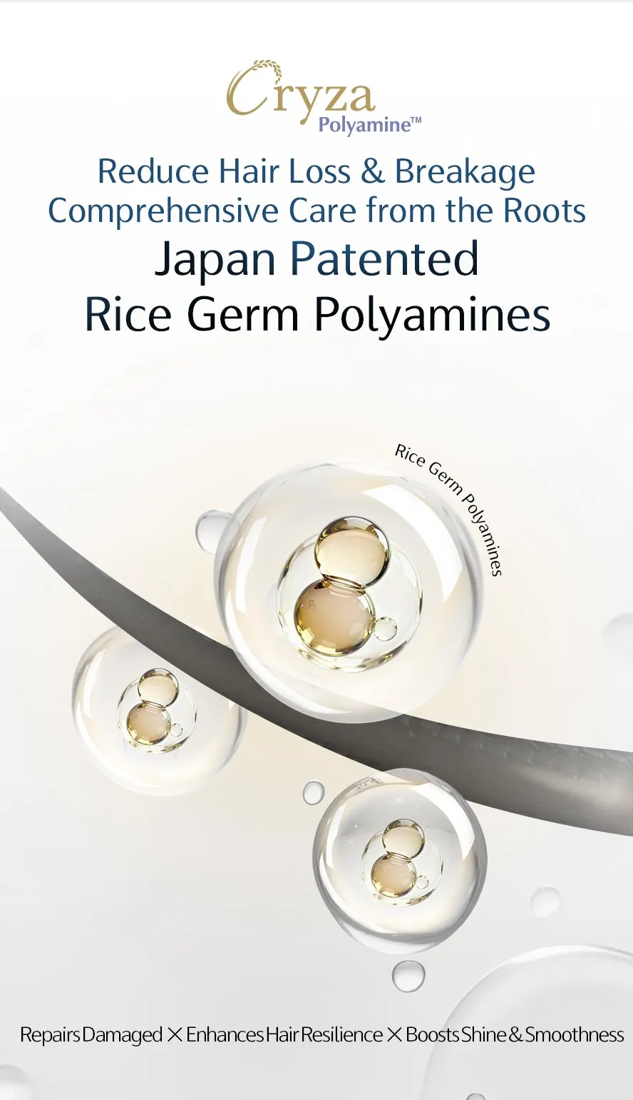 Formulated with Japan's patented Rice Germ Polyamines to support follicle health, repair damaged hair strands, and reduce hair shedding—outperforming traditional caffeine hair treatments.