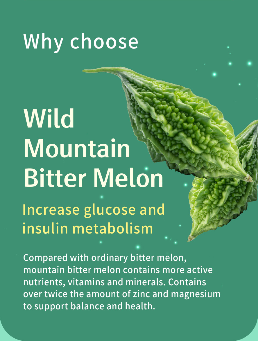 BHK's Wild Bitter Melon EX can help balance blood sugar, enhance insulin secretion, promote circulation & glucose metabolism