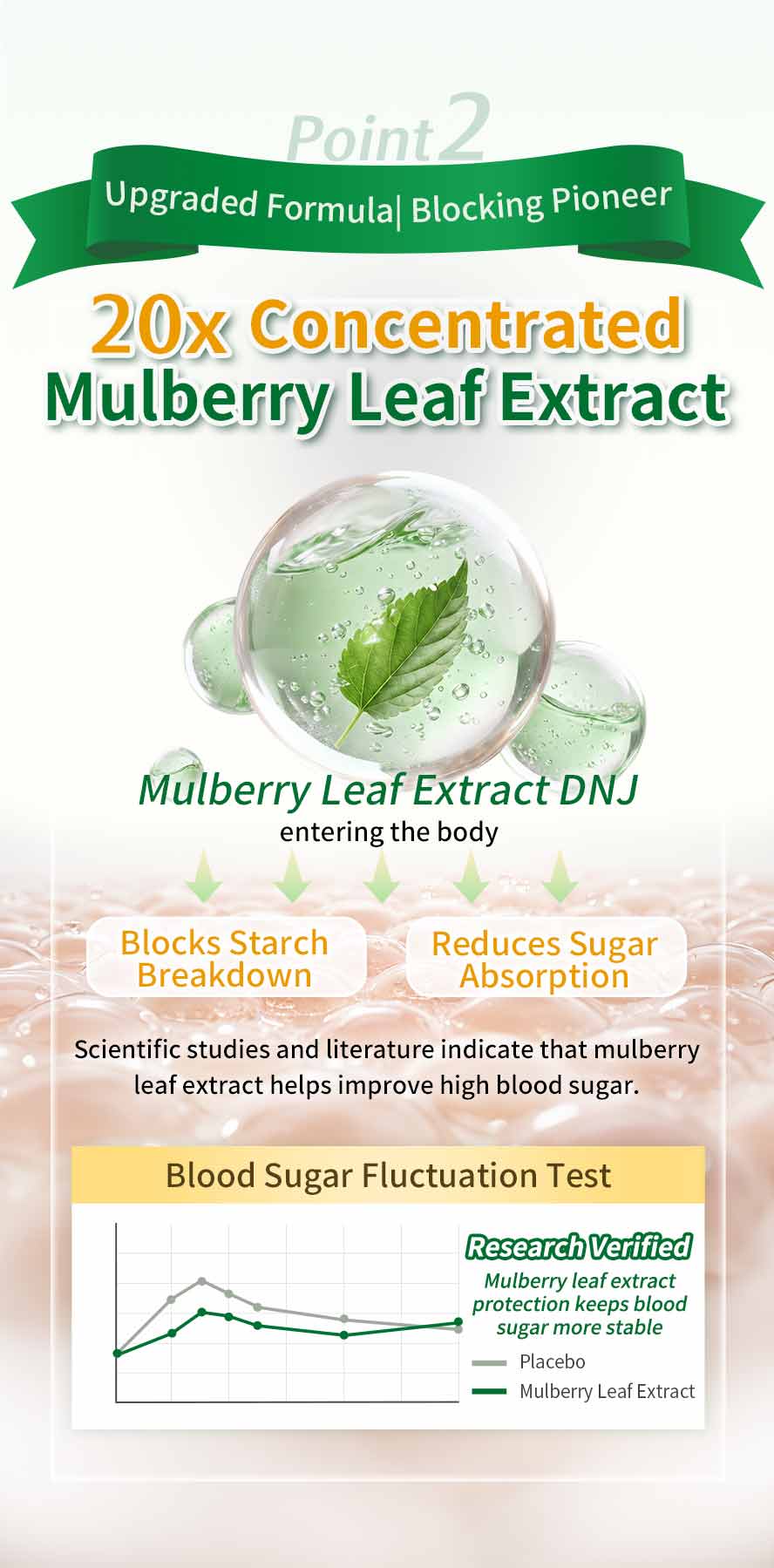 BHK's Patented Bitter Melon EX2 adds Mulberry Leaf Extract to effectively delay sugar absorption and reduce blood sugar spikes.