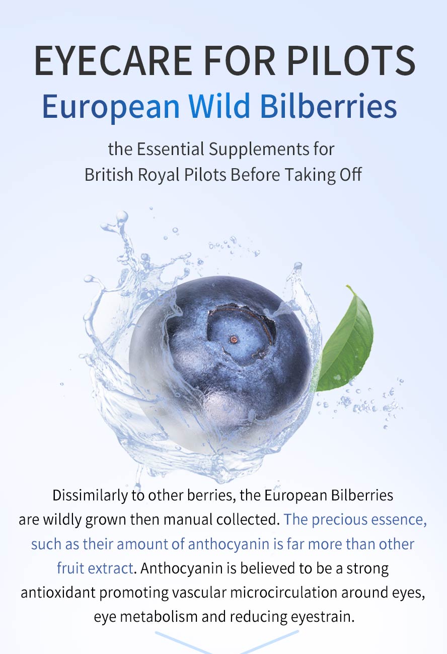 European Bilberries contains more amount of anthocyanin than other berry extract