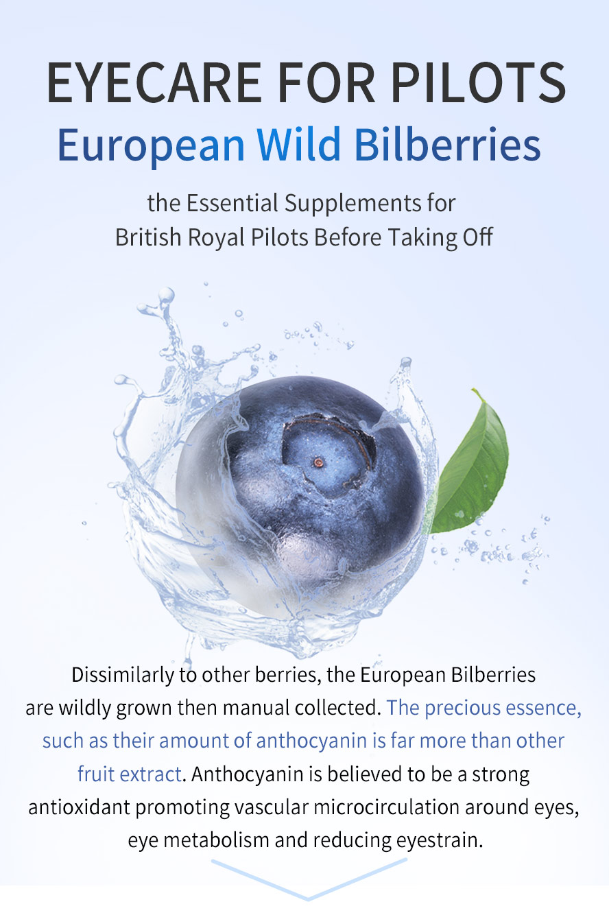 European Bilberries contains more amount of anthocyanin than other berry extract