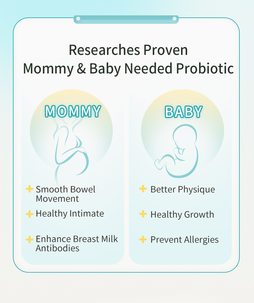 What does probiotic helps in pregnancy? It can promote smooth bowek movement, healthy intimate, and enhance breast milk antibodies for mommies; It can fetal to boost good physique, healthy growth, and prevent alergies. 