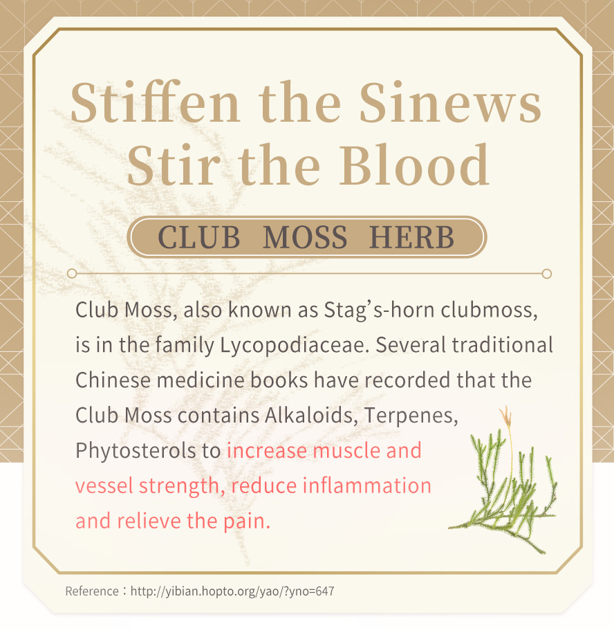 Club Moss is recorded in the traditional Chinese medicine book, and can increase muscle and vessel strength, reduce inflammation, relive pain and promote blood circulation