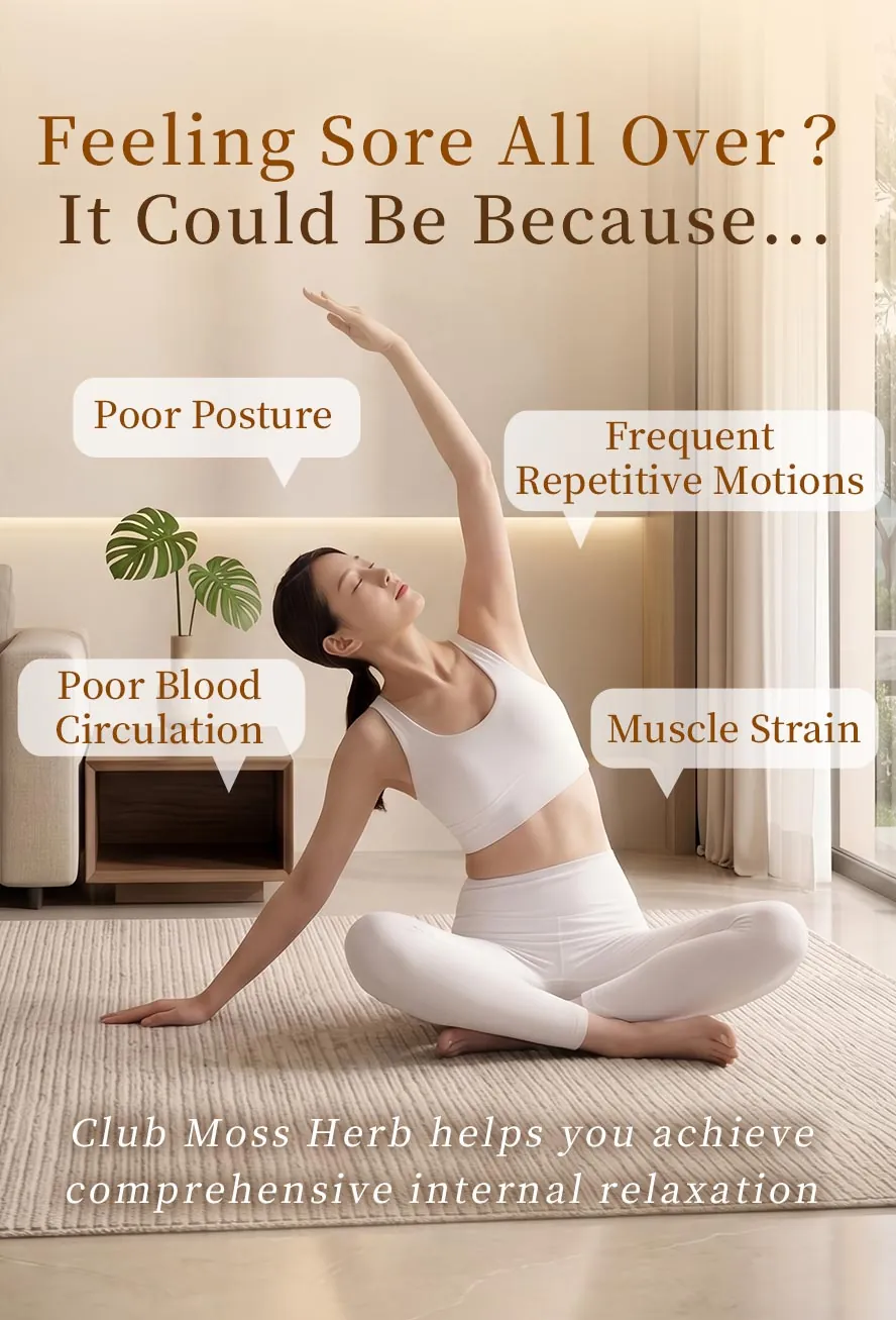 Poor Posture & Poor Circulation Causing Muscle Strain and Back Pain? BHK's Club Moss Herb EX Tablets are Your Solution