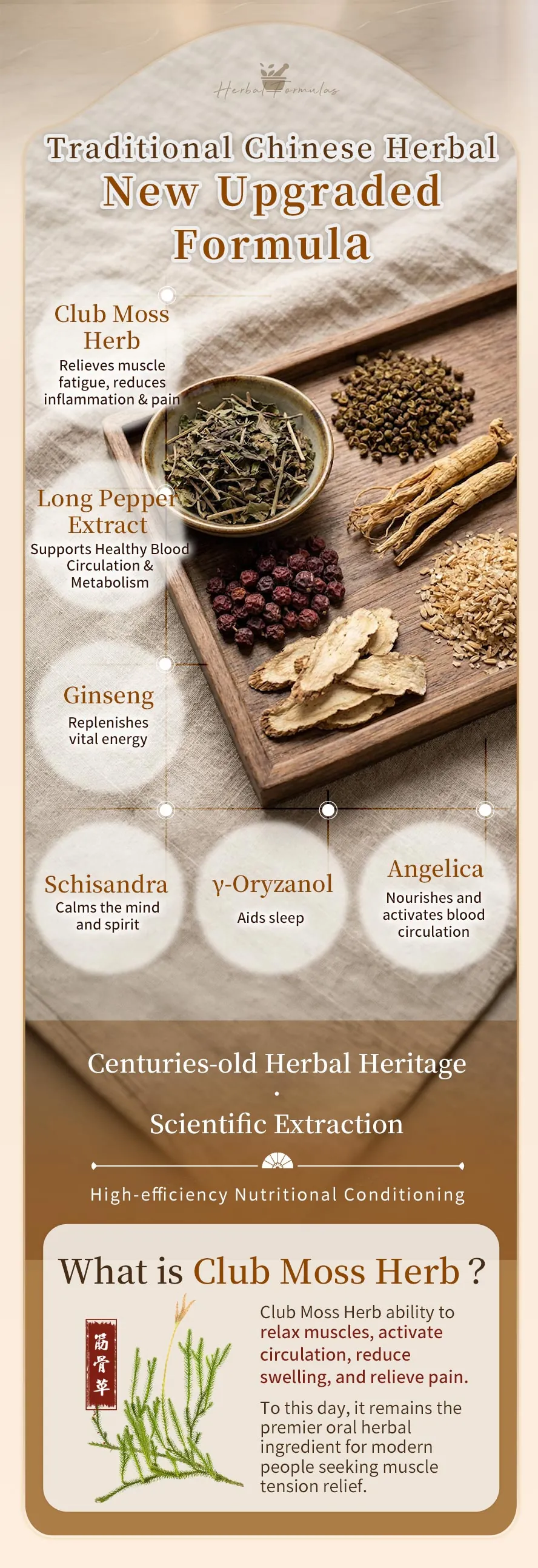 Premium Herbal Formula: Ginseng, Schisandra, Angelica, &gamma;-Oryzanol, Vitamin B Complex, and Japanese Long Pepper Extract