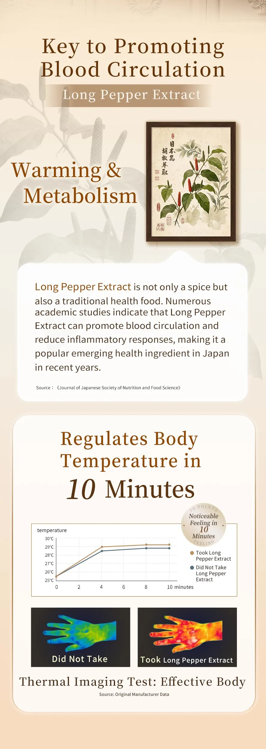 Enhanced with Japanese Long Pepper Extract: Clinical Support to Regulate Body Temp and Boost Blood Flow