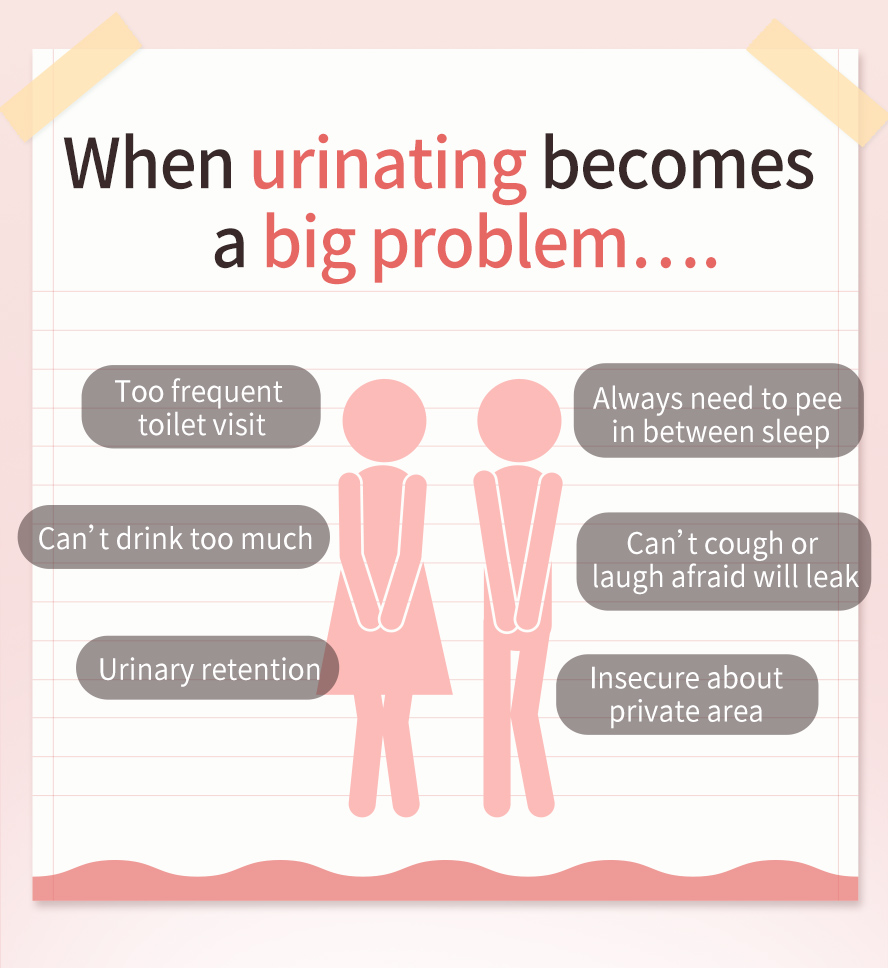 Older aged women are prone to peeing too much at night, urinary incontinence, weakened bladder, and menopausal discomfort, this is suitable to ease those symptoms