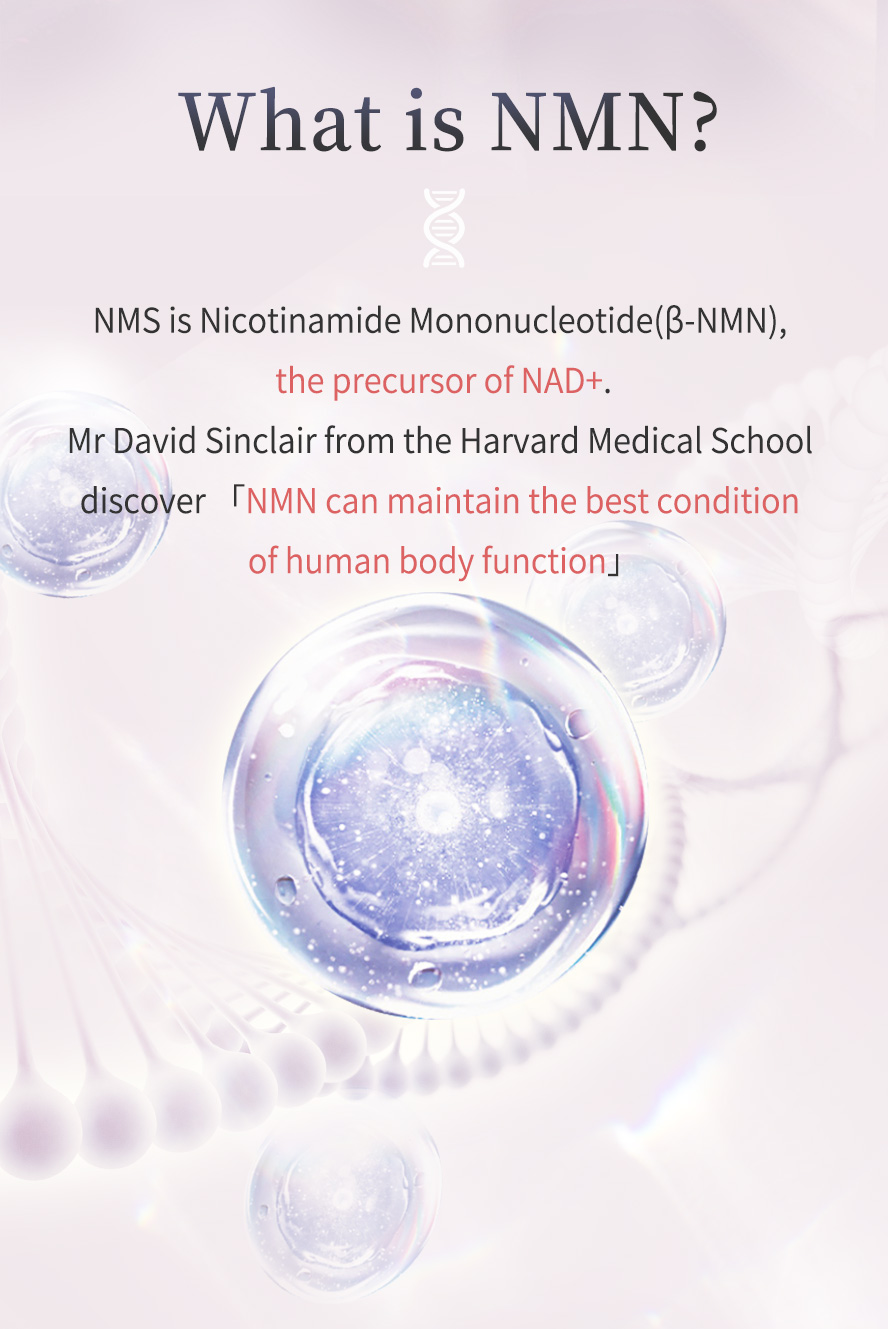 BHK's NMN can maintain & inrease the NAD+ content in human body to enhance skin condition for anti-aging purpose