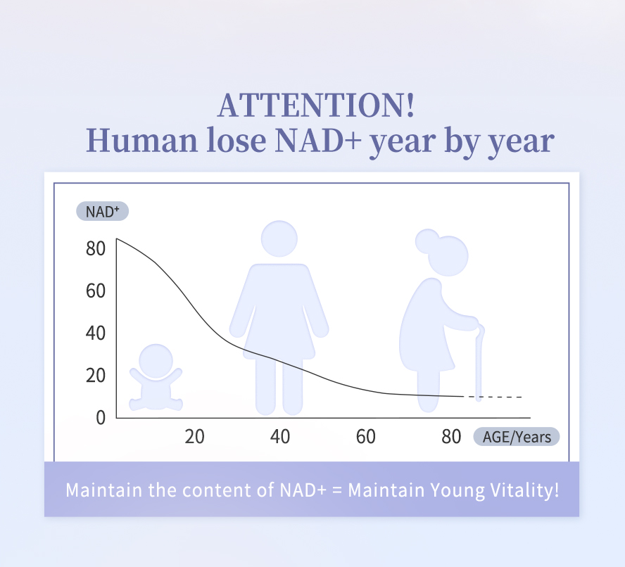 Nutritionist proven the NAD+ can promote Sirtuin to act as anti-aging factor