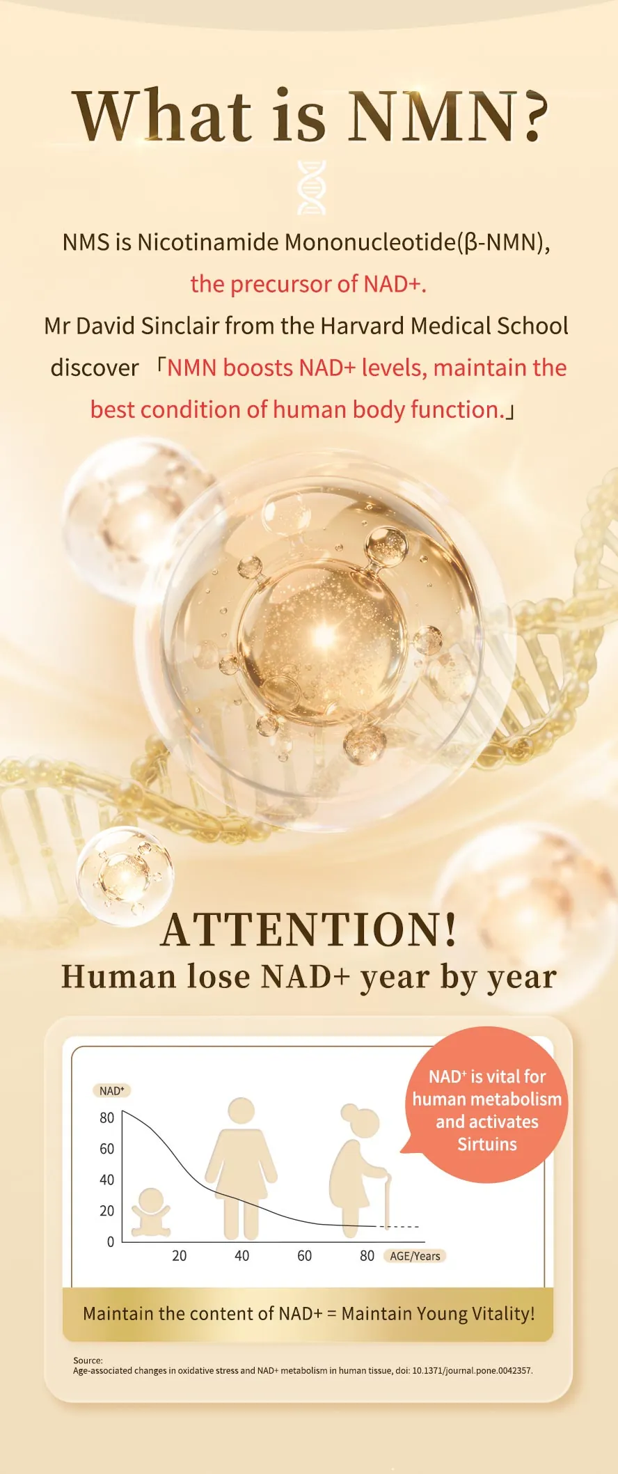 BHK's NMN uses patented NMN to enhance skin anti-aging ability