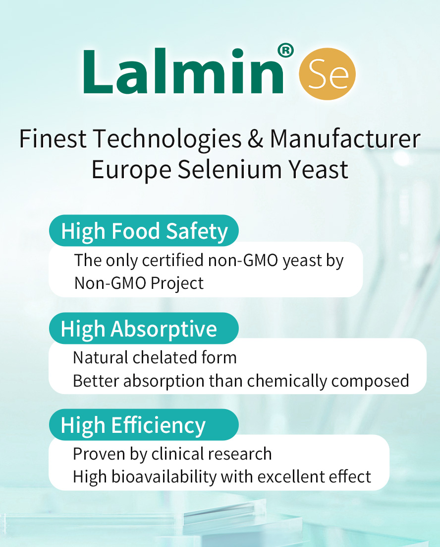 Patented European Selenium Yeast is made from non-GMO yeast with high food safety, high absorption, and high efficiency.