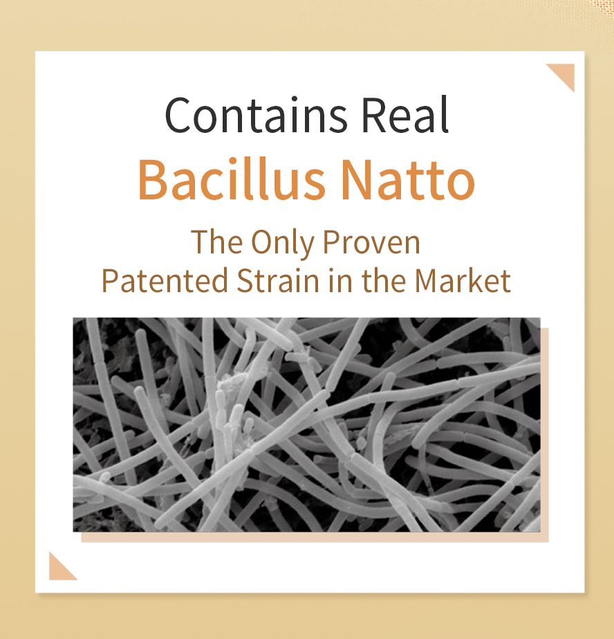 Real bacillus natto, the only proven patented natto strain in the market.