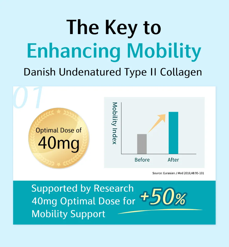 BHK's Undenatured Type II Collagen + Eggshell Membrane features 5 key ingredients for comprehensive joint health support.